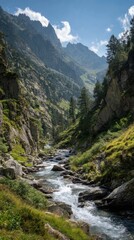 Lush valley with flowing mountain river