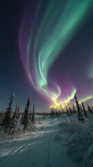 Vibrant auroras dance above snowy trees at night