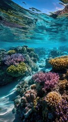 Underwater view of a vibrant coral reef ecosystem