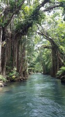 Serene river winding through lush tropical forest