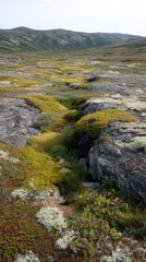 Vast rocky landscape with lush greenery