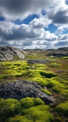 Mossy terrain under a cloudy sky at midday
