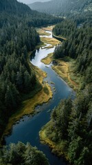 River winding through lush forest