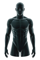 Dark, muscled male torso, anatomical study.

