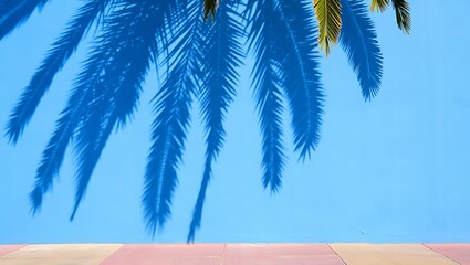 Palm tree shadow on a blue wall creating a tropical and summery vibe