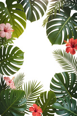 Tropical leaves and flowers frame a white space.

