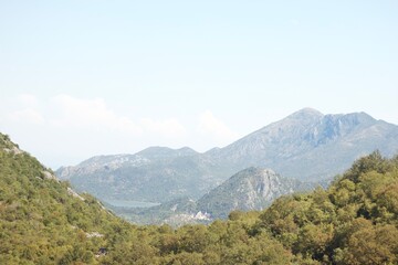 the mountain landscape with green hills covered with forest on the forefront and the bluish mountains on the background under the light blue sky on a sunny day