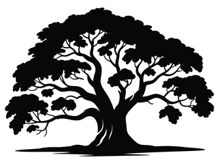 Tree large majestic vector, silhouette with spreading branches, forest and nature illustration, outdoor landscape graphic, vector design, black art collection