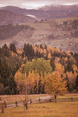 Tourism in Ukraine. Autumn village. October vibe. To travel in the fall. Country vacation. Colorful forest. Warm colors. Yellow-hot landscape. Ukrainian Carpathians. Rural life.