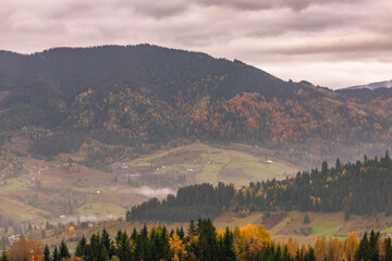 Tourism in Ukraine. Autumn village. October vibe. To travel in the fall. Country vacation. Colorful forest. Warm colors. Yellow-hot landscape. Ukrainian Carpathians. Rural life.