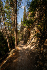 Shadows Fall Over The Trail To The Brink Of The Lower Falls In Yellowstone
