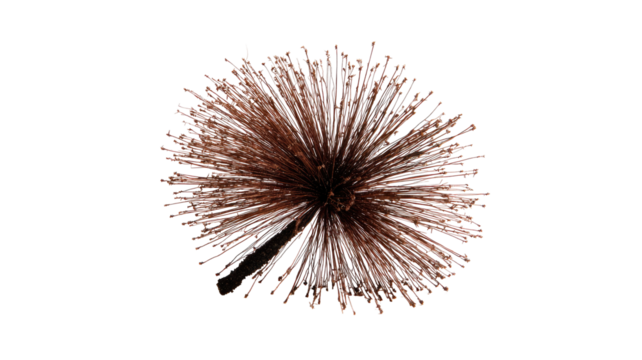 A close-up view of a circular brush head,  brown and tan fibers radiate outward, creating a dense, starburst effect.  Darker fibers form the center