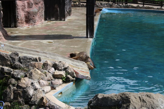 piscina