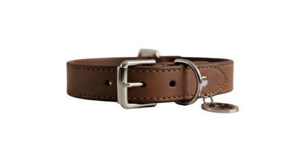 Close-up of a dog collar isolated on white background.