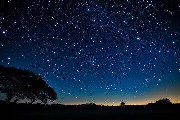 Dark sky with a few stars and a tree in the foreground