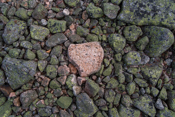 Textured Rock Formation with Moss and Lichen Featuring Prominent Pink Stone in Natural Setting