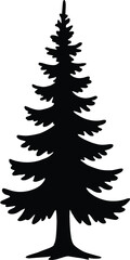 vector silhouette, pine tree tall conical form, layered branches, solid black