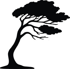 vector silhouette, windswept coastal tree leaning trunk, asymmetric crown