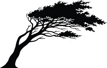 vector silhouette, windswept coastal tree leaning trunk, asymmetric crown