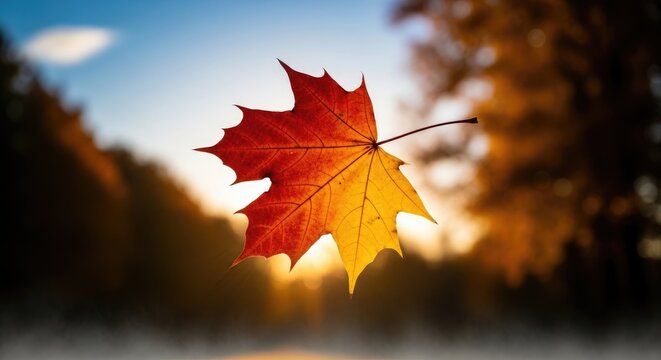 Single vibrant autumn maple leaf gently floating in warm golden sunlight over misty water and colorful forest during the seasonal equinox dawn