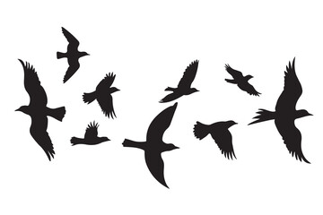 Fototapeta premium Flock of black birds in flight silhouette flying