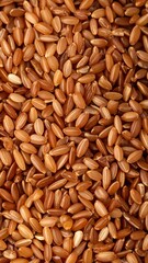 Brown rice grains close-up