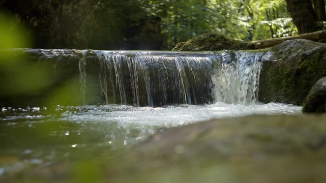 Crystal clear water cascades down a small waterfall in a lush forest setting.