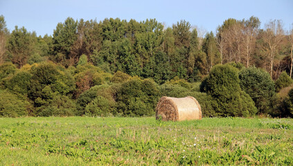 a bale of hay in the field