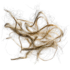 Tangled, light-beige and brown fibers, a chaotic heap
