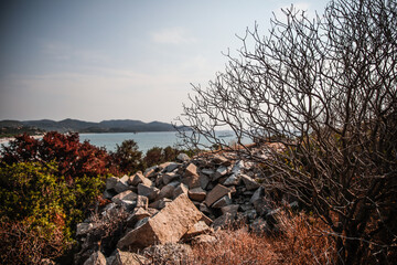 Sea in Sardinia from a hill