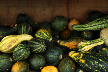 Assorted pumpkins and gourds – Various colorful pumpkins and gourds in a wooden box, autumn harvest and Thanksgiving concept