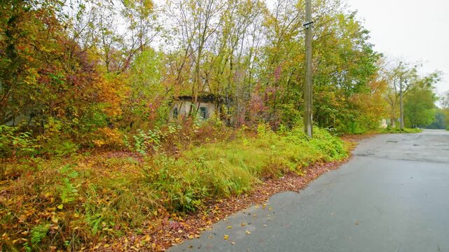 Footage of the deserted Lenin Street in the Chernobyl Exclusion Zone, showcasing an abandoned conscription point amidst overgrown autumn foliage. This scene captures the haunting beauty and historical