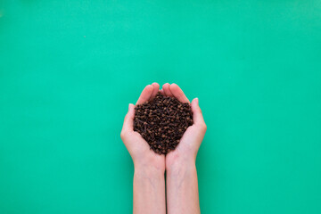 Dry carnation in the hands