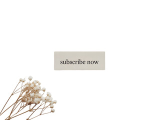 Dried Flowers with Subscribe Button on White Background