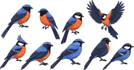 Minimalist Birds Illustration