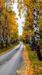 Fototapeta premium Autumnal country road (1)