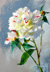 Pastel llustration of red peony flower.