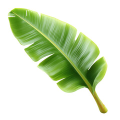 Fototapeta premium A close-up shot of a fresh, vibrant green banana leaf. showing its intricate texture, radiating freshness and natural elegance.
