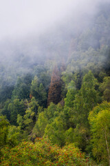 Panorama of misty woods in Valdilana (Piedmont, Northern Italy) during early fall season. Valdilana Panoramica Zegna is a winter ski station and an area full of trekking paths for summer season hiking