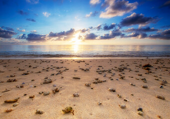 Fiji sea hideaway low sand corals mid sun