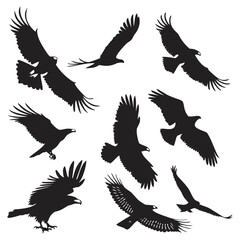 Obraz premium Collection of silhouettes of various birds of prey in flight against a white background