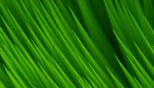 Diagonal Green Grass Blades Creating Vibrant Abstract Background