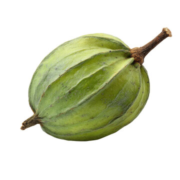 A single, unripe green gooseberry with a brown stem, isolated on a transparent background. background removed