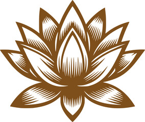 vector illustration of a LOTUS flower