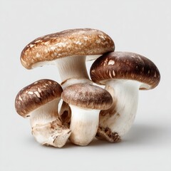 Fototapeta premium Close-up of four fresh mushrooms, light brown caps, white stems, clustered together against a plain gray background