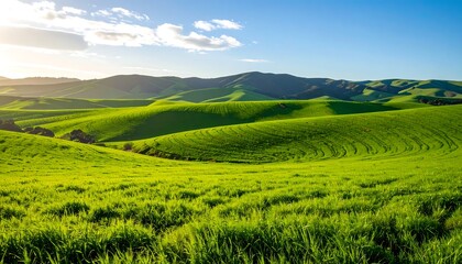 Lush green rolling hills under a partly cloudy sky