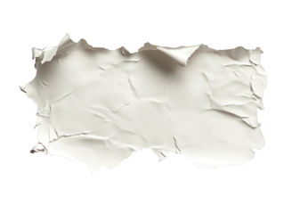 Torn piece of paper with on transparent background