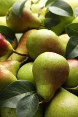 Many whole ripe pears as background, closeup