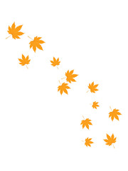 Scattered Orange Maple Leaves