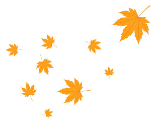 Scattered Yellow Maple Leaves on a Dark Background